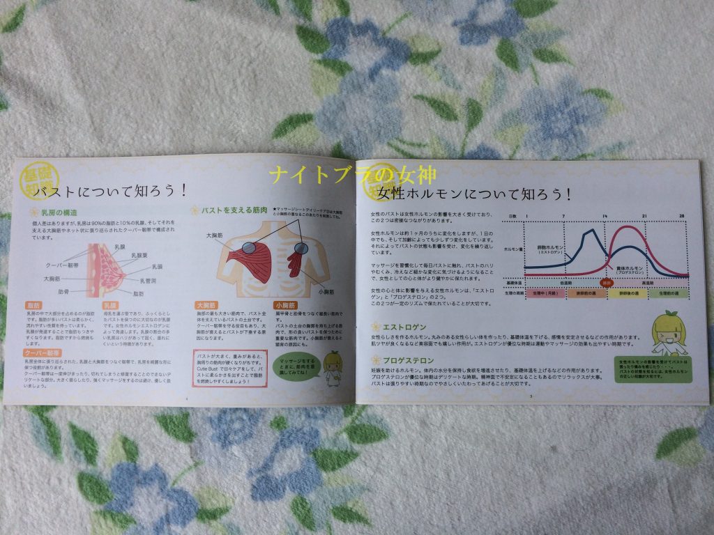 キューティバストの説明書 P4~5